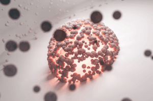 Autophagy vs Intermittent Fasting