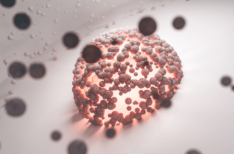 Autophagy vs Intermittent Fasting
